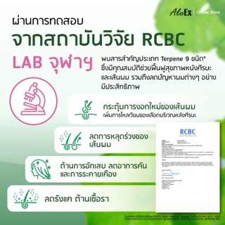 [รีวิวปัง] AloEx Original Shampoo 1 ขวดและ AloEx Hair Serum 50 ml. 1 ขวด เซตแชมพูและเซรั่มบำรุงผม ลดผมร่วงสำหรับผมมัน