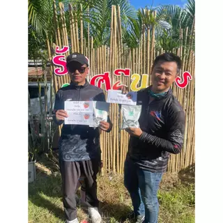 เหยื่อตกปลานิล By Mr.Lc Champion House เหยื่อที่ปรุงแต่งโดยชาวจีนสายเเข่งโดยเฉพาะ
