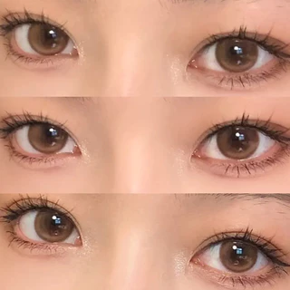 【2คู่ลด8% 3คู่ลด10%】Midroo -0.00-6.00 เซ็ตตัวตึง เลนส์ธรรมชาติสีน้ำตาล คอนแทคเลนส์ Toffee Brown 14.2 มม Monthly Replace