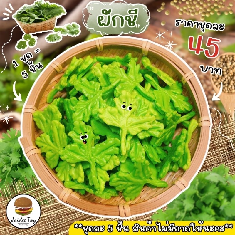 ชุดของเล่น ผักชี ของเล่นเสริมสร้างพัฒนาการ เสริมสร้างความรู้ jaidee toy ของเล่นเด็ก