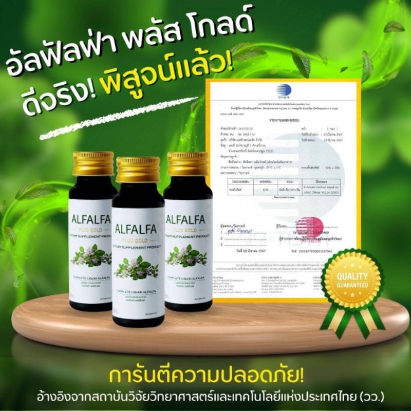 คลอโรฟิลล์น้ำ 100% Alfalfa Plus ราชาแห่งอาหาร