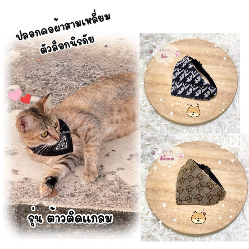 (P4)(รุ่นต้าวติดแกลม)ปลอกคอผ้าสามเหลี่ยมตัวล็อคนิรภัย สำหรับน้องแมวและน้องหมาเล็ก