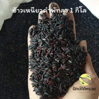 ข้าวเหนียวดำใหม่ ข้าวเหนียวดำใต้ พัทลุง 1 กิโลกรัม ซีลสุญญากาศ
