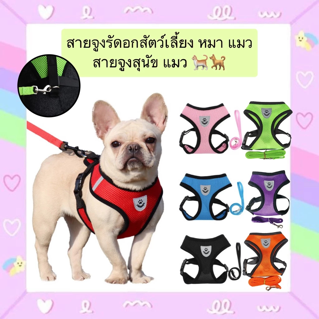 สายจูงแมวพร้อมสายรัดอก ป้องกันการหลุดได้ ปรับได้ ใช้ได้กับแมว สุนัข และกระต่าย