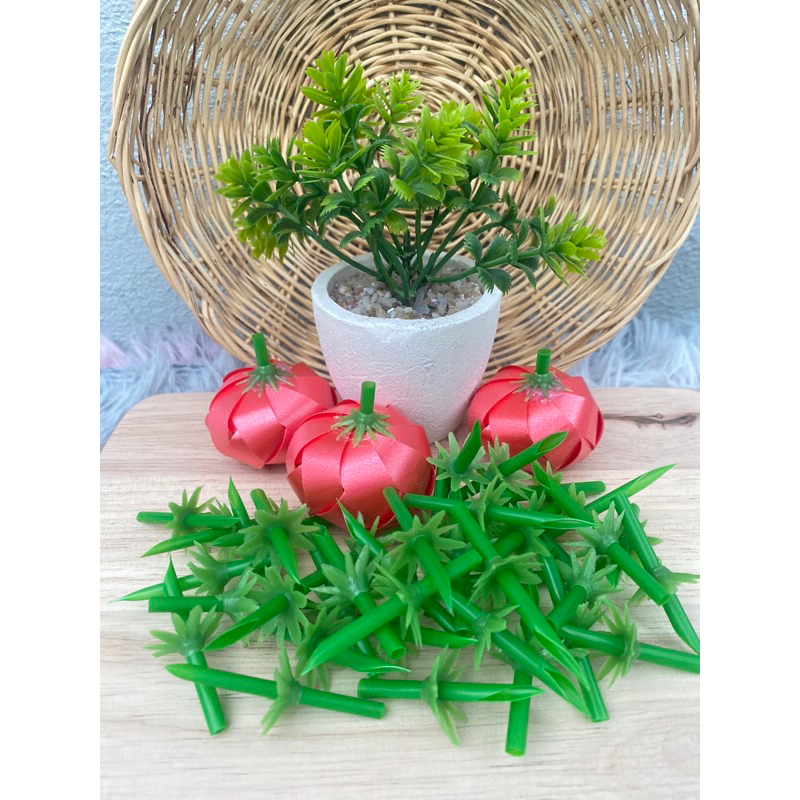ก้านมะเขือเทศ,จุกมะเขือเทศ,ใบมะเขือเทศ🍅🍅เหรียญโปรยทาน100ก้าน(📌พร้อมส่ง)