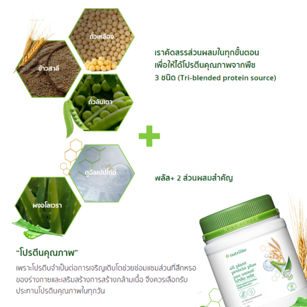 โปรตีนแอมเวย์ (ของแท้ 💯 ช้อปไทย) พร้อมส่ง Nutrilite Amway Protein นิวทริไลท์ โปรตีน มี 4 รสชาติ ฉลากไทย รูปที่ 5
