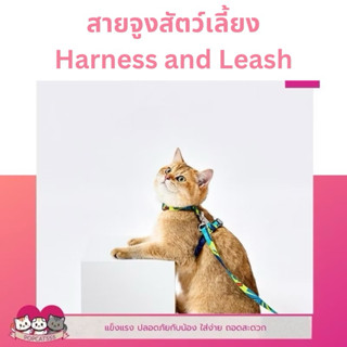 สายจูงสัตว์เลี้ยง ผ้าโพลีเอสเตอร์ สำหรับหมาและแมว ความยาว 1.…