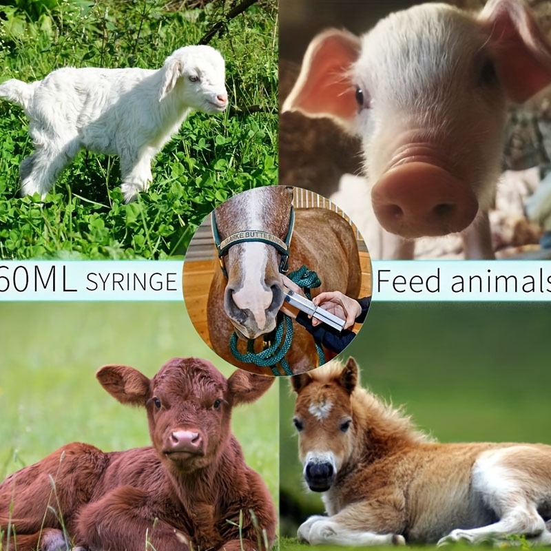 กระบอกฉีดยา ที่ป้อนอาหารนก ไซริงป้อนอาหารสัตว์เล็ก ให้ยา ให้อาหาร ป้อนอาหารนก หมาแมว ลูกหมา กระต่าย หนูแฮมสเตอร์ - รูปที่ 3