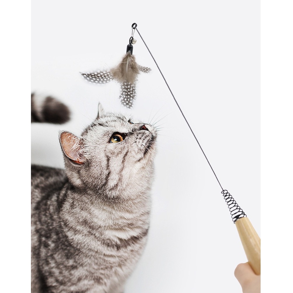 BN-590 ไม้ตกแมวขนนก ของเล่นแมว | เสริมสร้างความสนุกให้น้องแมว 🐱 ประมาณ 50 ซม. •