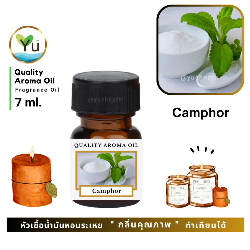 🌟🎁 7 ml. กลิ่น Camphor (การบูร) 🌟 หัวเชื้อน้ำมันหอมระเหย กลิ่นคุณภาพ ! Quality Aroma Oil 🌟 เลือกกล่องได้ !