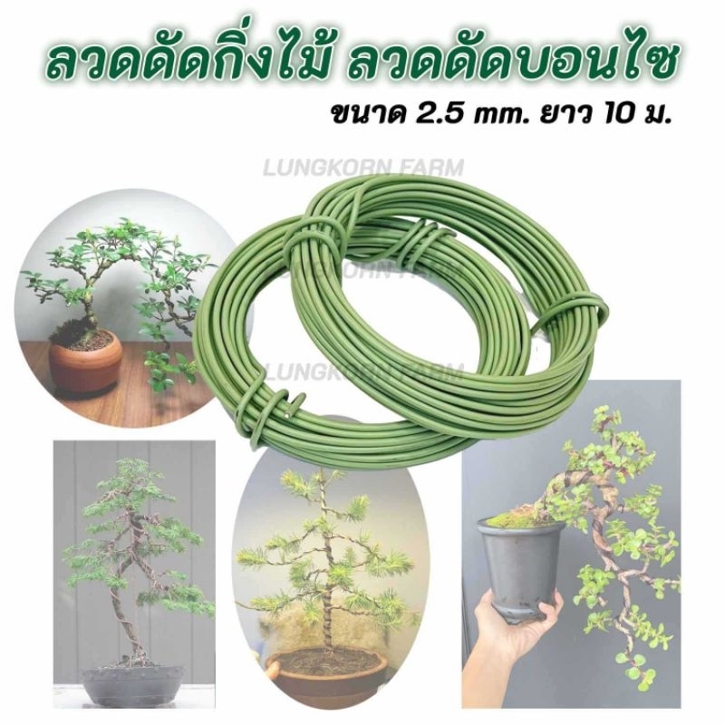 ลวดดัดต้นไม้เส้นใหญ่ขนาด 2.5 มมยาว 10 เมตร / ม้วน