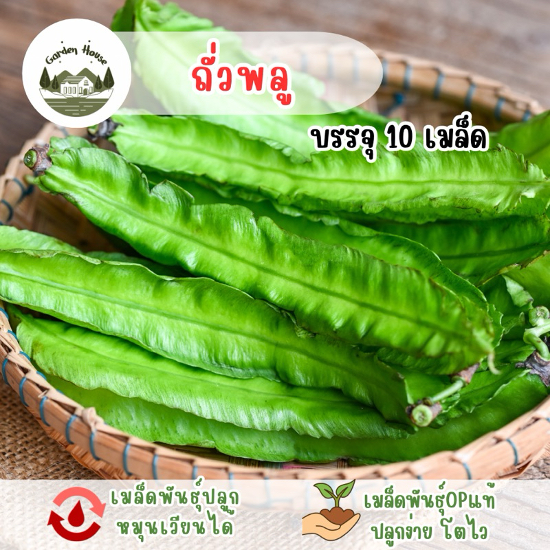 ราคาถูก ถั่วพู 10 เมล็ด