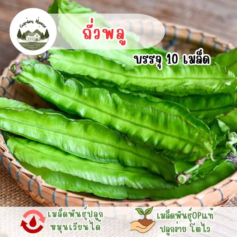 ราคาถูก ถั่วพู 10 เมล็ด