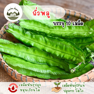 ราคาถูก ถั่วพู 10 เมล็ด