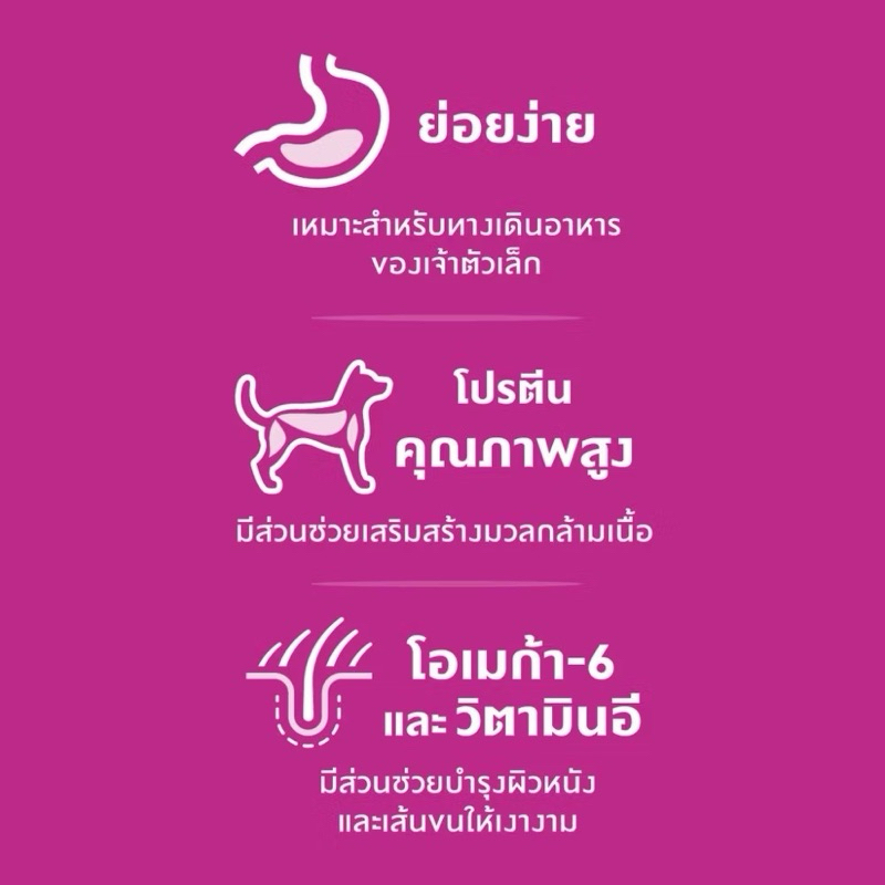 Hill’s Science Diet SMALL PAWS ADULT, 7+ SMALL BITES อาหารสุนัขพันธุ์เล็ก ขนาด 1.5kg รูปที่ 3