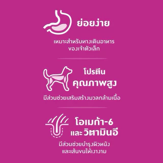 Hill’s Science Diet SMALL PAWS ADULT, 7+ SMALL BITES อาหารสุนัขพันธุ์เล็ก ขนาด 1.5kg