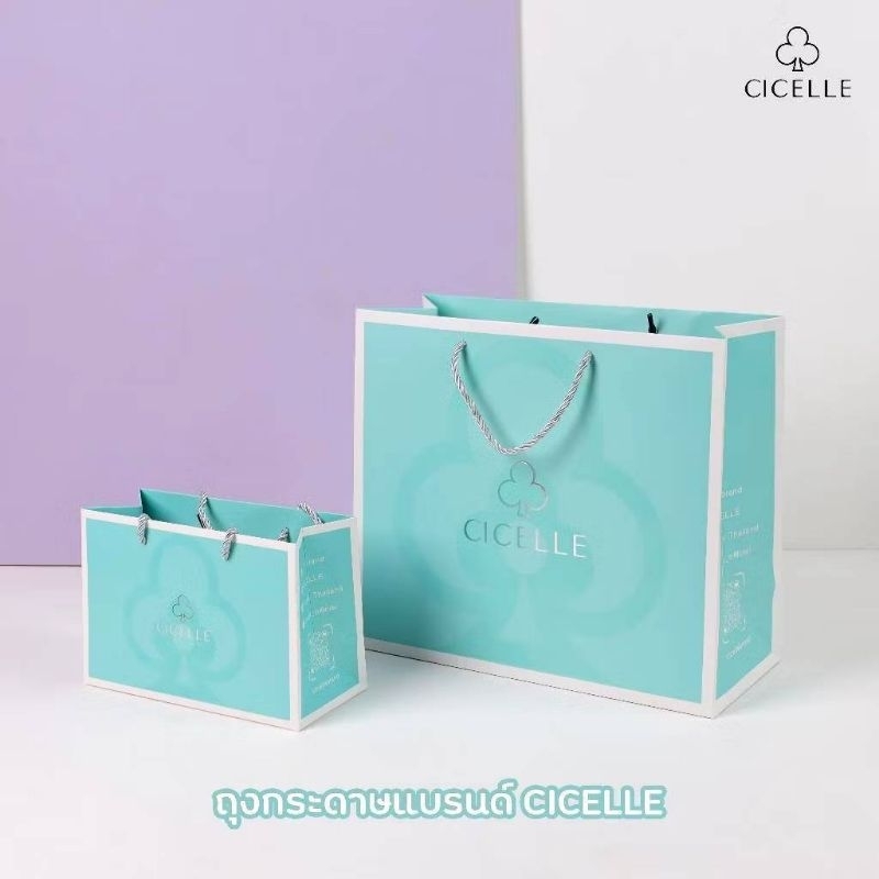 ถุงกระดาษใส่กระเป๋า ขนาดใหญ่ CICELLE C066