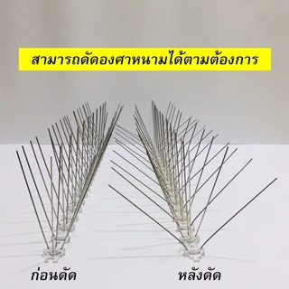 หนามไล่นก💥ที่ไล่นก ไล่นกพิราบ กันนก กันนกพิราบ ที่ กัน นกพิราบ เกาะ หนามกันนก หนามกันนกพิราบ หนามไล่นกพิราบ bird thorn
