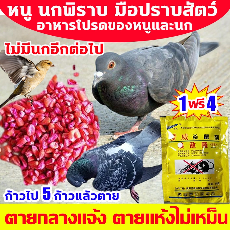 ทำลายอวัยวะภายในตายใน 1วัน ยาเบื่อนก ยาฆ่านกพิราบ ซื้อ 1ได้4 ยากำจัดนกพิราบ แห้งเร็วและไม่มีกลิ่น เห็นผลชัวร์ 100%