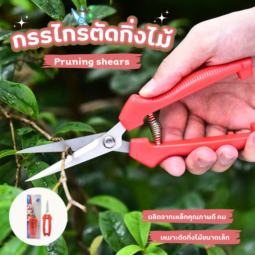 กรรไกรตัดกิ่ง ปลายแหลม กรรไกรปากแหลม กรรไกรแต่งกิ่ง กรรไกรตัดกิ่งไม้
