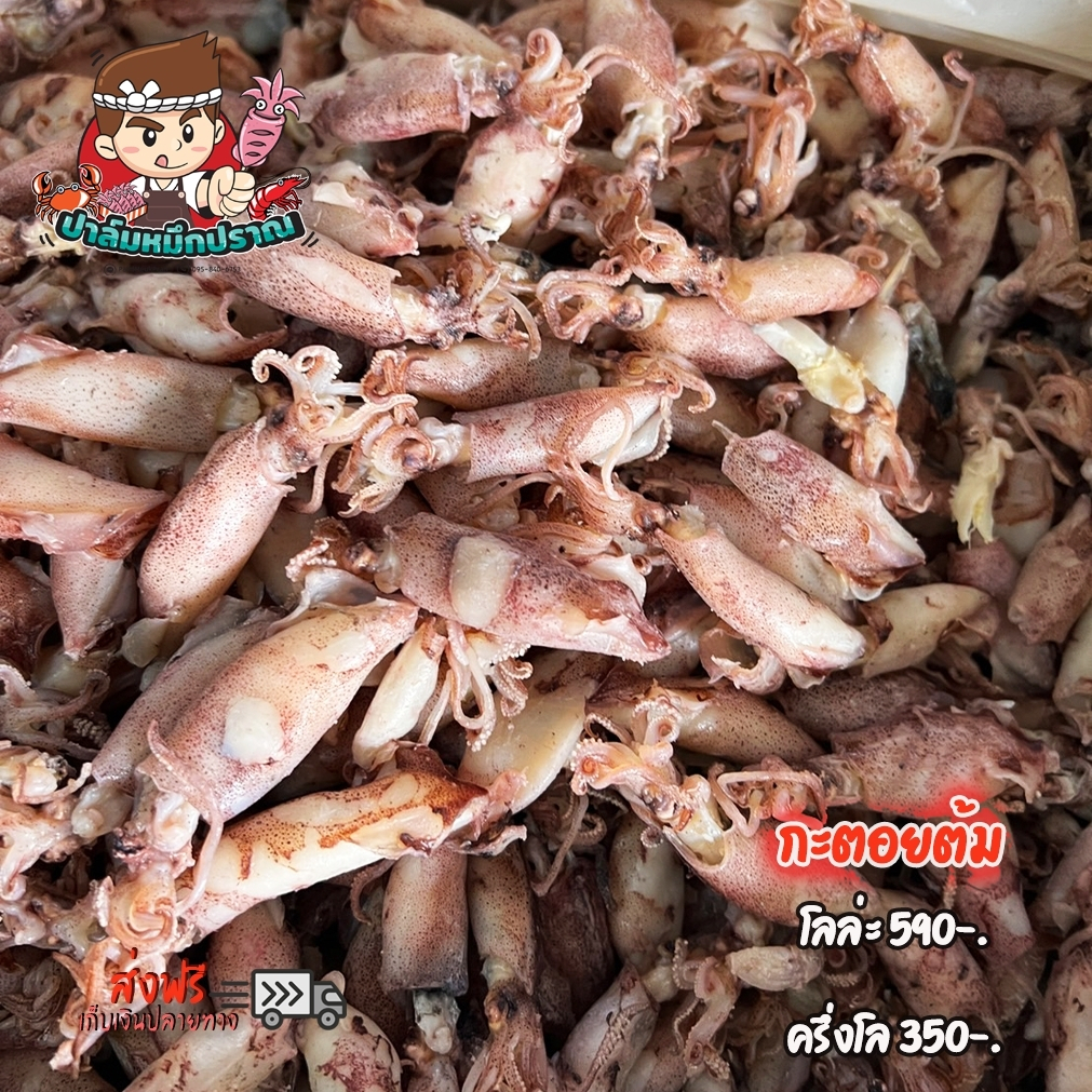 หมึกกะตอยต้ม สดใหม่ สะอาด เนื้อหวานอร่อย ของฝากจากปากน้ำปราณ