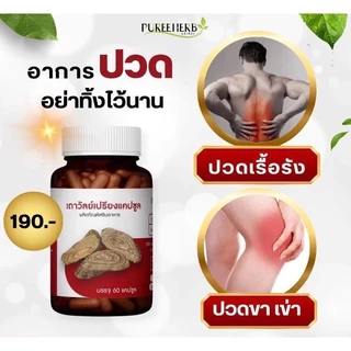 โกฐเขมาพลัสแคปซูล ตราภูรีเฮิร์บ 60 แคปซูล - ปวดเมื่อย เส้นตึง ข้อเข่าเสื่อม