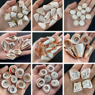 หอยเจาะ 50 ชนิด DIY วัสดุงานฝีมือเปลือกหอย 50g DRILLED seashells สำหรับตกแต่งสวน