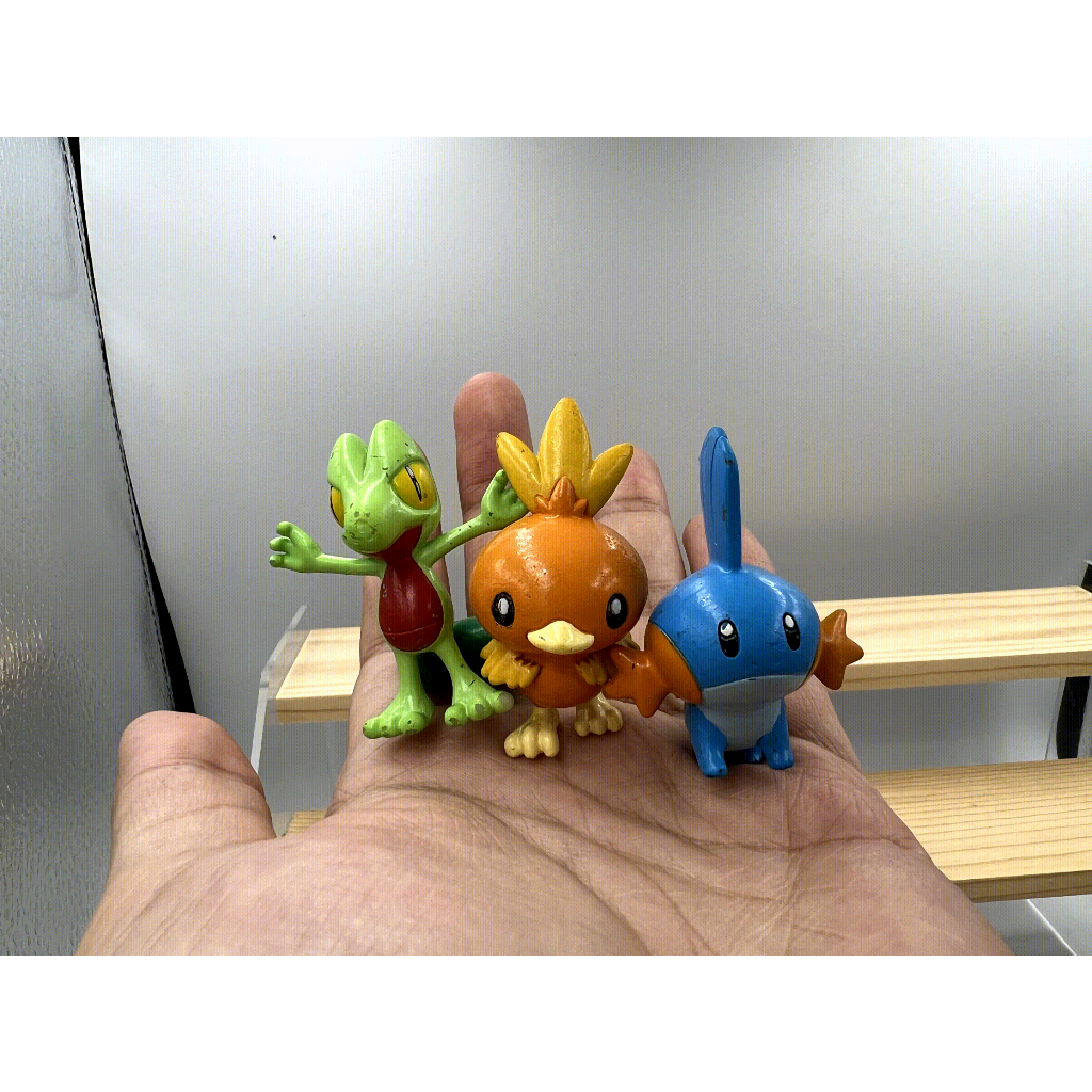 Pokemon Gen 3 Starters Set of 3 : Treeko, Torchic, Mudkip