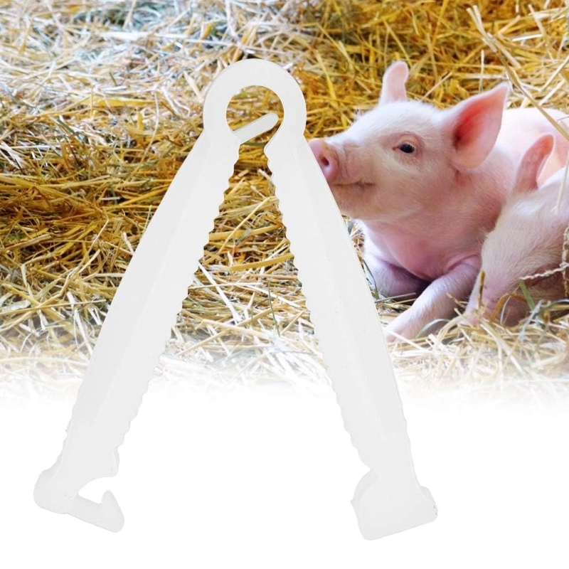 ที่หนีบสายสะดือสำหรับลูกหมูแรกเกิด คลิปหนีบสายสะดือหมู ที่หนีบสายสะดือ ที่รัดสายสะดือสุกร อุปกรณ์หมู