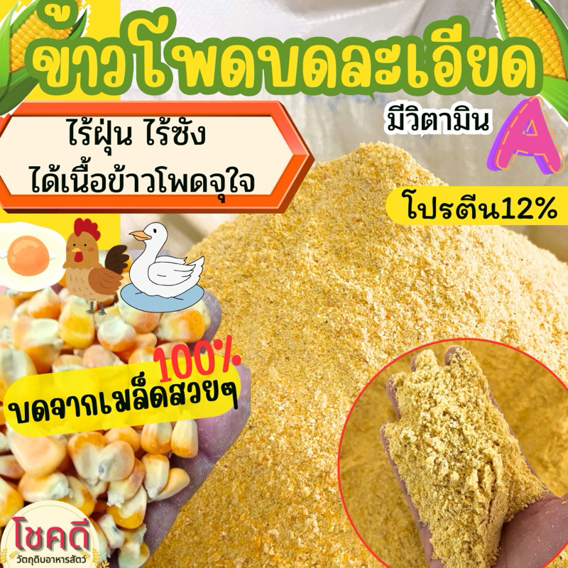 ข้าวโพดบดละเอียดสวยๆไม่ปนซัง บดจากเมล็ดเต็ม คุณภาพดีบดใหม่ ใช้เลี้ยงสัตว์ปีก 🦆🐓 อ้วน สมบูรณ์โตเร็ว