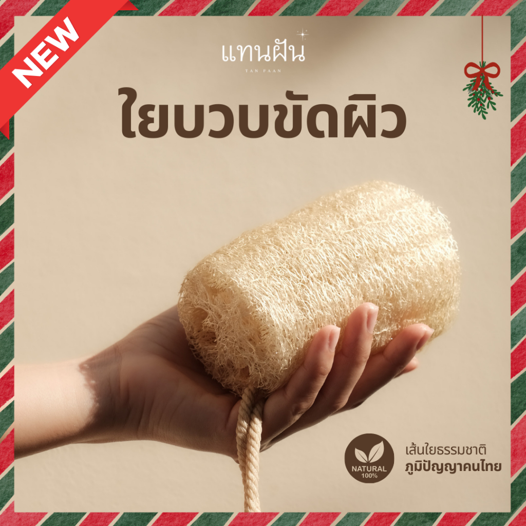 [แทนฝัน] ใยบวบขัดผิว ขนาด 4-5 นิ้ว ไม่ฟอกขาว ใยบวบธรรมชาติ ใยบวบอาบน้ำ ใยบวบขัดผิว
