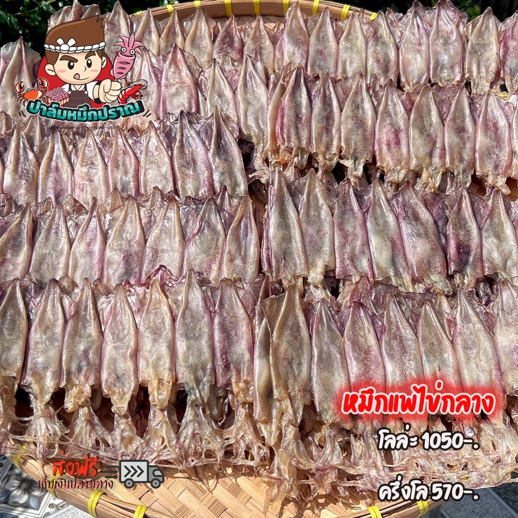 หมึกแพไข่กลาง คัดไข่แน่นทุกตัว เนื้อหนา หวานหอม ไม่เค็ม จากทะเลปากน้ำปราณ 100และ200ก.