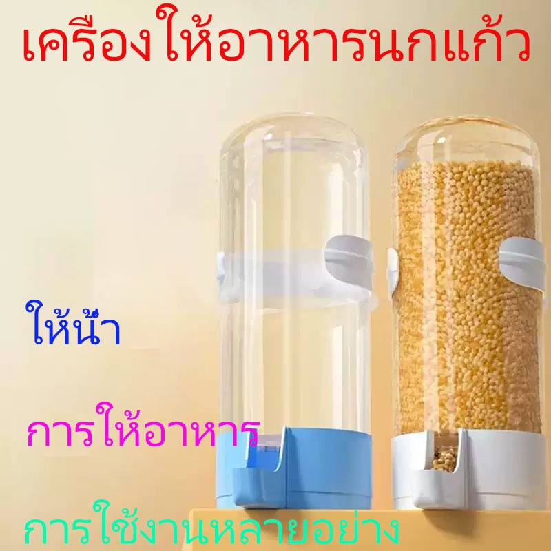 🚚 ที่ให้น้ำนก ที่ให้อาหารนก 240 มล หลอดอาหารแบบล็อคกรง อุปกรณ์เลี้ยงนก อาหารนก อัตโนมัติเหมาะสำหรับนก นกแก้ว