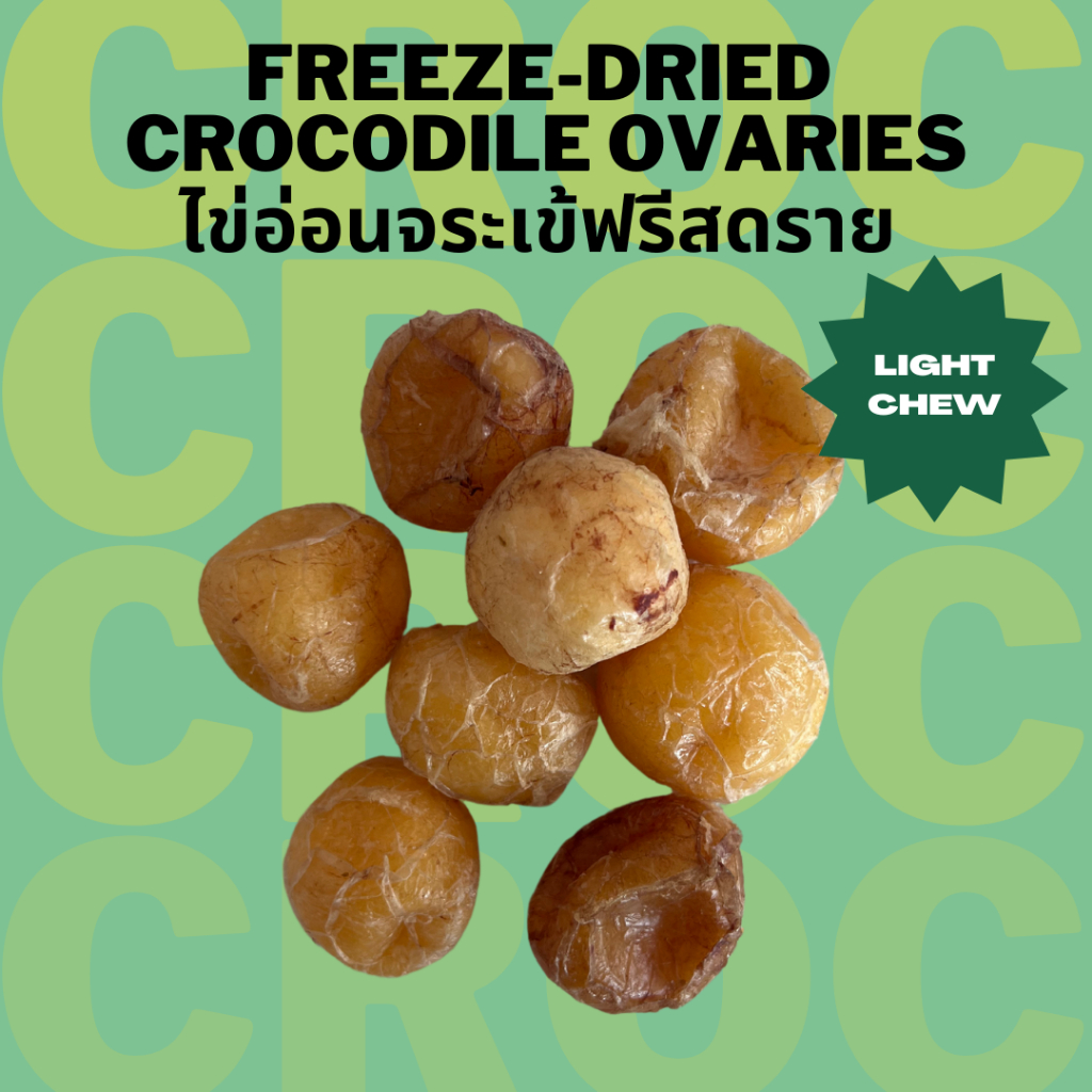 ไข่อ่อนจระเข้ฟรีสดราย มีประโยชน์ Bella's Bites Freeze Dried Crocodile Ovaries Treat for Pets 100g