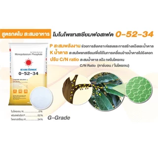 0-52-34 ดวงตะวันเพชร โมโนโพแทสเซียมฟอสเฟต สะสมอาหาร เปิดตาดอก ลดดอกหลุดร่วง