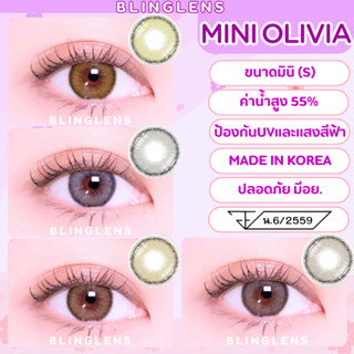 คอนแทคเลนส์ 💖 Mini Olivia : Light brown / Brown / Green  ขนา…