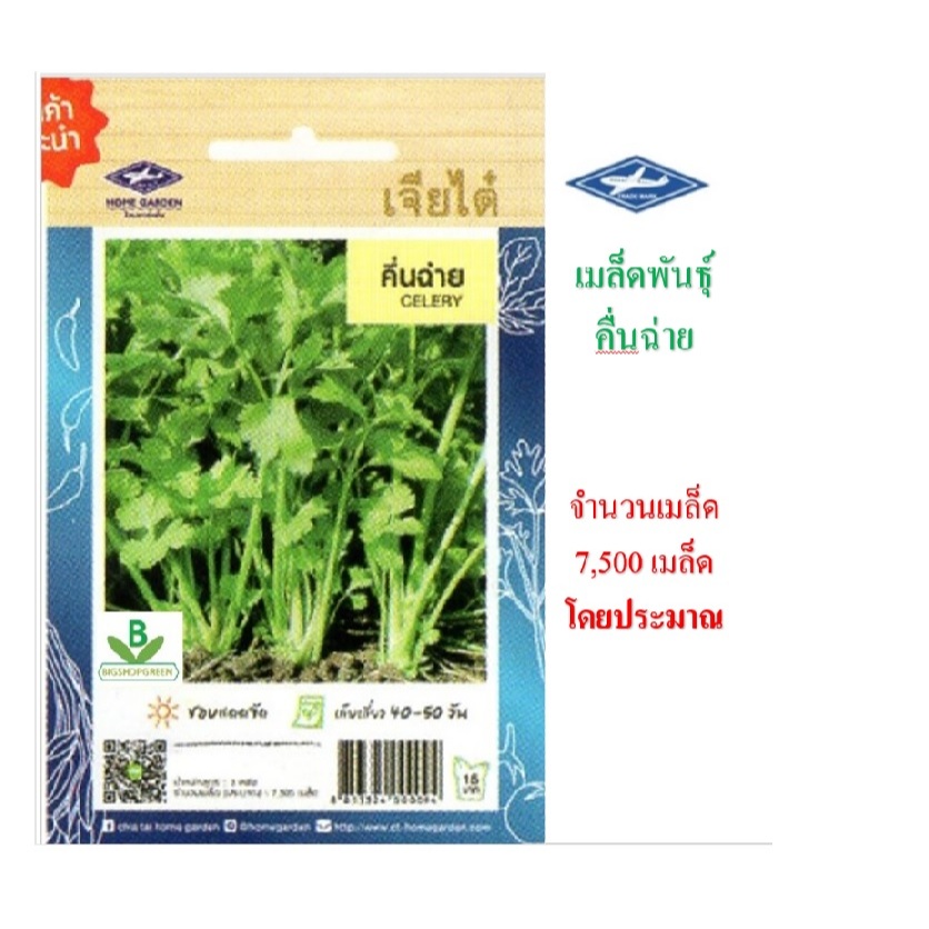 5 ฟรี 1 คละได้ทั้งร้าน เมล็ดพันธุ์ คื่นฉ่าย ตราเจียไต๋ อึตราความงอกอยู่ในเกณฑ์ดี