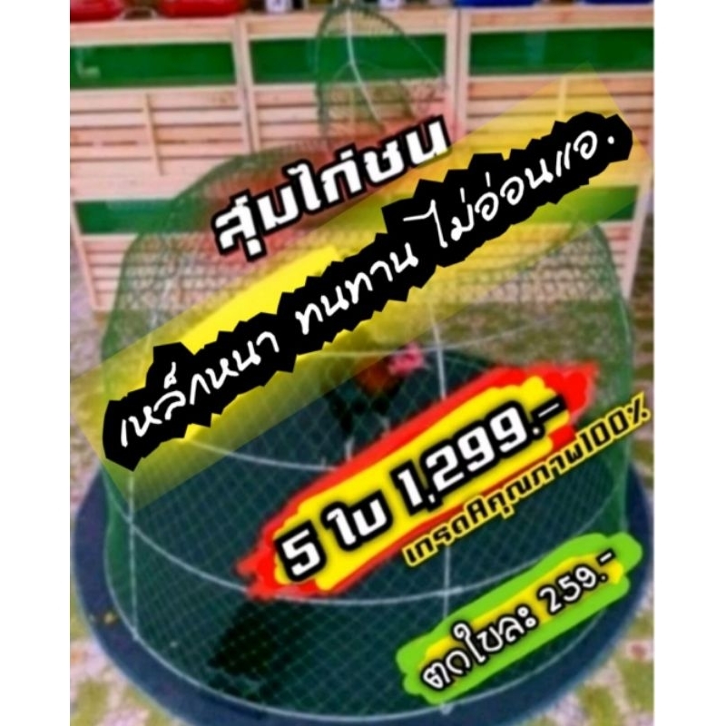 #สุ่มไก่ชน #สุ่มเปิดบนเซ็ท5ใบ เกรดคุณภาพดีมากแข็งแรงแน่นอน