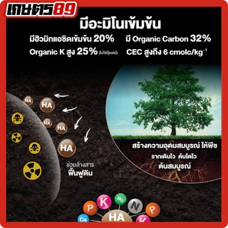แบล็กเอิร์ธ Black Earth โพแทสเซียมฮิวเมท ฮิวมิกผงเข้มข้นละลายน้ำ ฉีดพ่นทางใบ ฟื้นฟูดิน รากกินอาหารได้มากขึ้น 25กก.