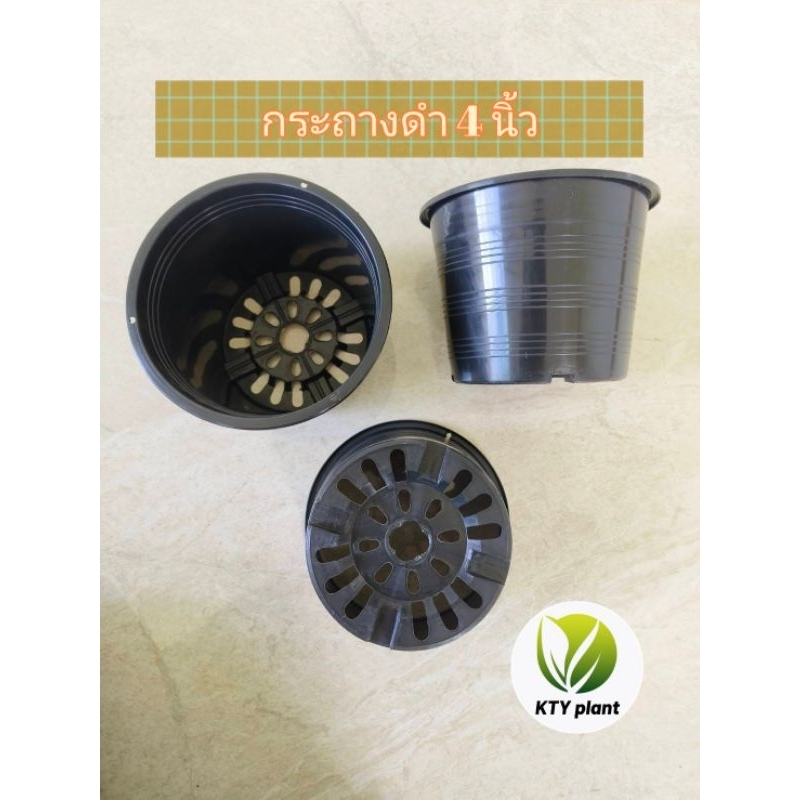 กระถางดำ กระถางต้นไม้ กระถางพลาสติก ขนาด2.5