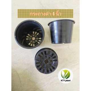 กระถางดำ กระถางต้นไม้ กระถางพลาสติก ขนาด2.5", 3",4",5",6",8",10"