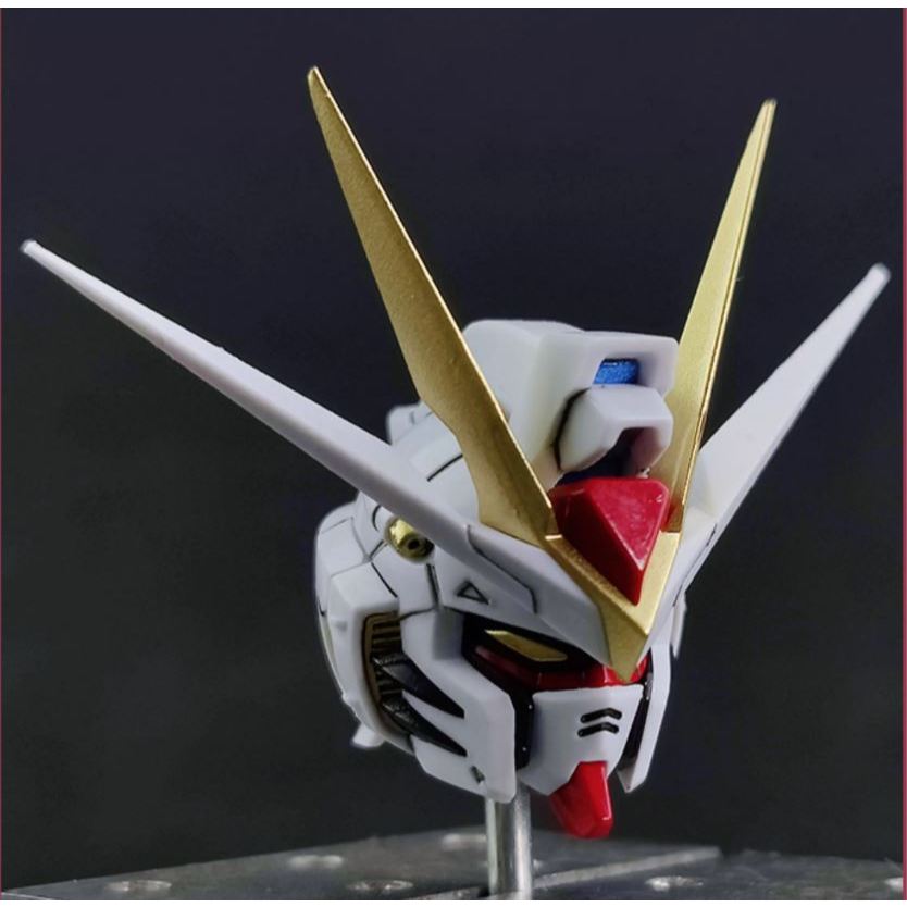 Zero Plan MG / MGEX / MB / 8802 / 8802s เฉพาะหัว strike freedom Head 1/100
