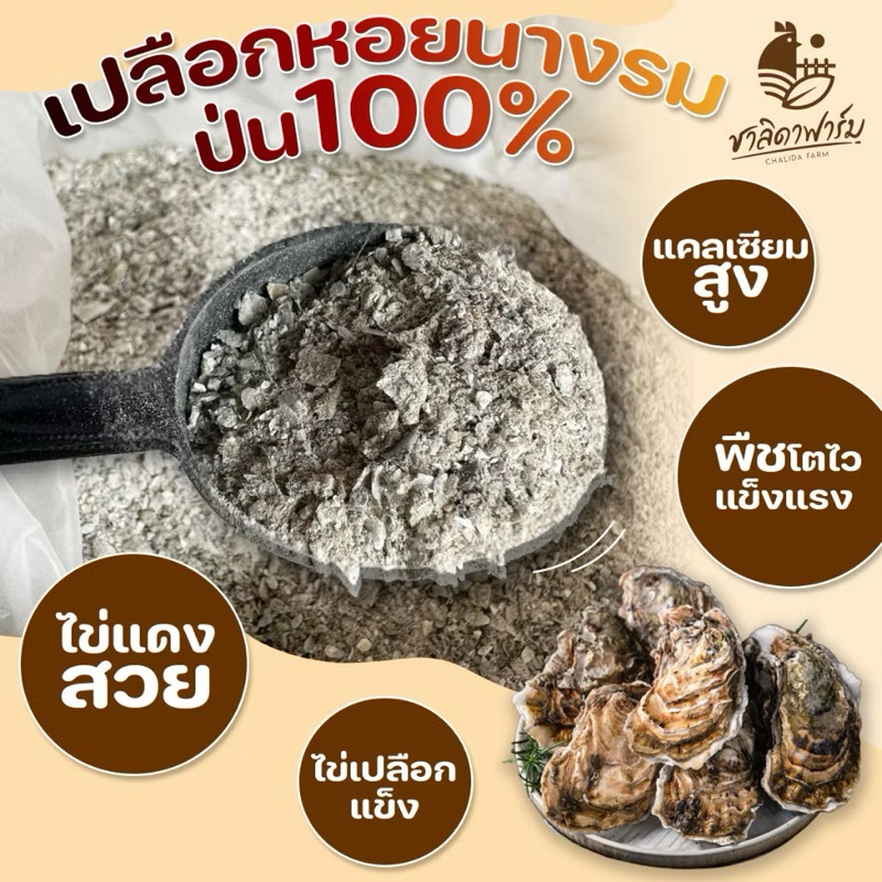 เปลือกหอยนางรมบด ขนาด25kg เปลือกหอยนางรมป่น เพิ่มไข่แดง แมกนีเซียมสูง แคลเซียมสูง เปลือกหอยป่นเปลือกหอยบดใช้ได้ทั้งพืช