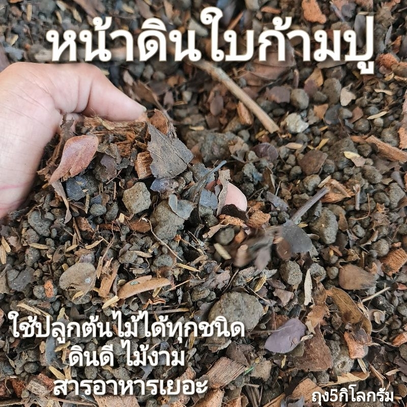หน้าดินจากการหมักใบก้ามปู/ดินก้ามปู/ดินปลูก มีของแถมค่ะ