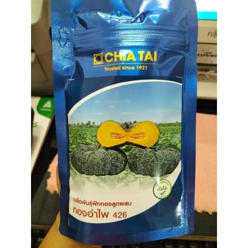 เมล็ดฟักทองทองอำไพ426 ผลใหญ่