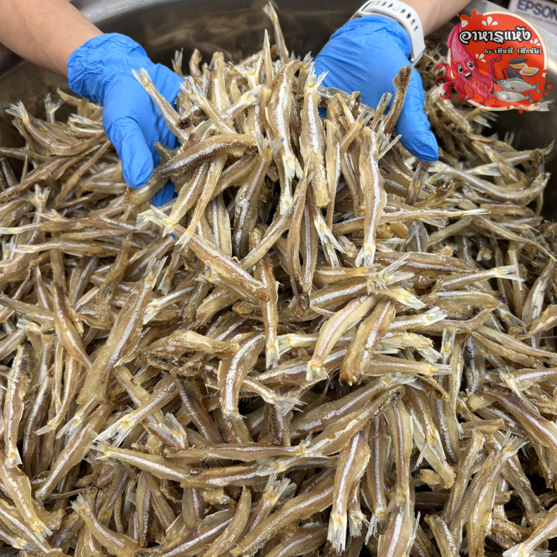 ปลาไส้ตันใหญ่   ‼ครึ่งกิโล‼ ตากแห้ง สดใหม่ อร่อย ปลาตากแห้ง สุดคุ้ม
