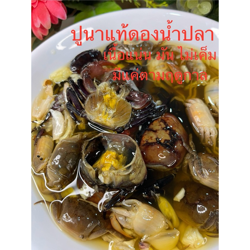 ปูนาแท้ดองน้ำปลา 800 กรัม (ปูขุด) เนื้อแน่น มันมัน มีแต่ในฤดูกาล