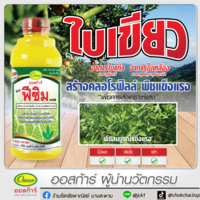 ฟีซิม ออสก้าร์ สร้างคลอโรฟิลล์ แก้อาการใบแก้ว ใบลายในส้ม เพิ่มการออกดอก ติดผล เร่งการเข้าสี ขวด 1 ลิตร