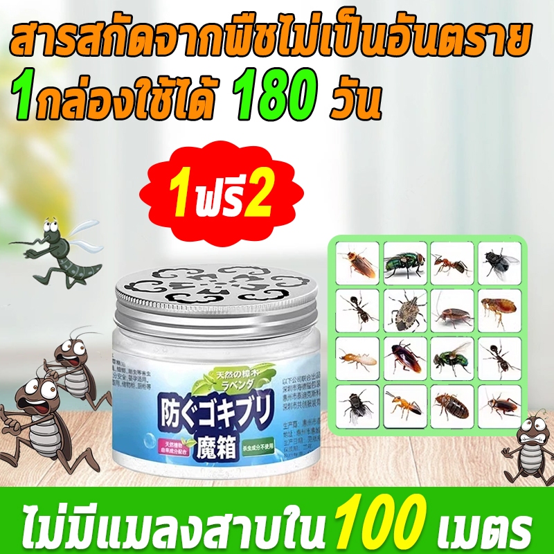 ไม่มีแมลงสาบ 10ปี กําจัดแมลงสาบ ยากําจัดแมลงสาบ 120g*3 สารสกัดจากพืช ไม่เป็นอันตราย บ้านแมลงสาบ ไล่แมลงสาบ
