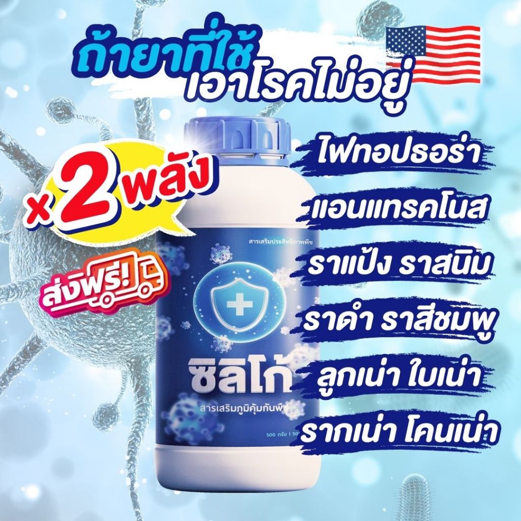 สารเสริมภูมิคุ้มกันพืชด้วยซิลิก้า เพิ่มประสิทธิภาพยาเชื้อรา แบคทีเรีย ไวรัสเมื่อใช้คู่กัน ซิลิโก้
